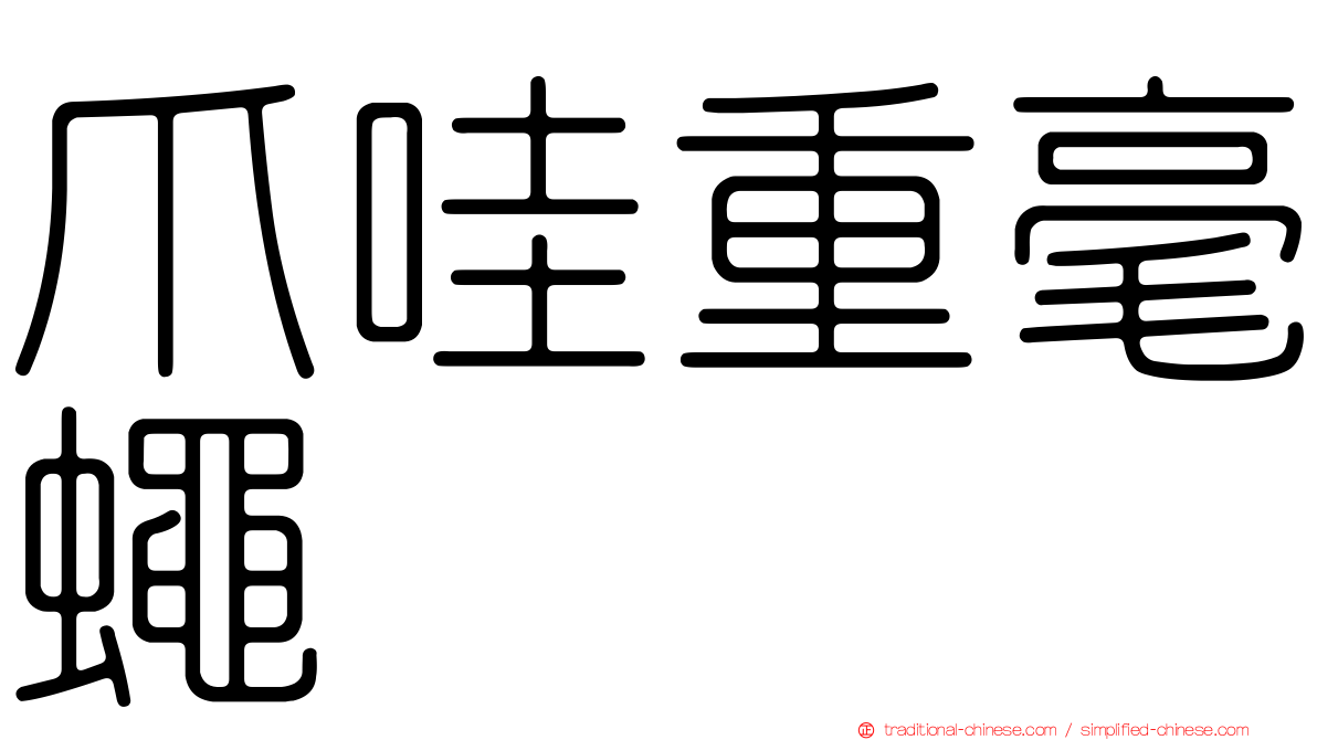 爪哇重毫蠅