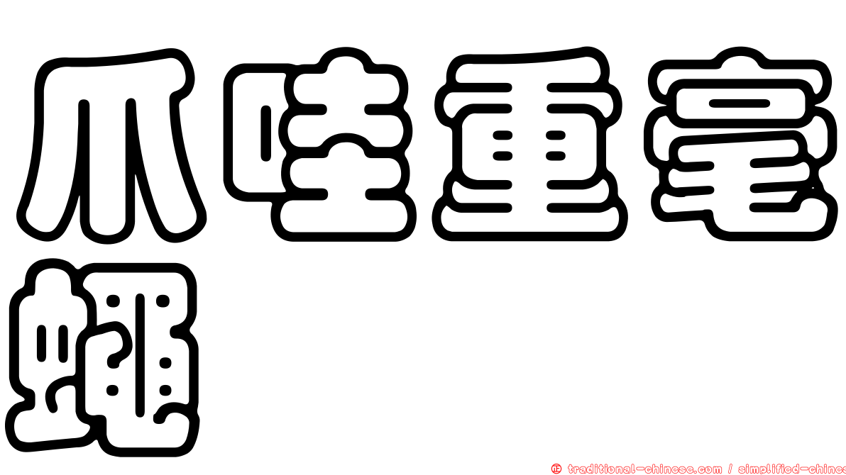 爪哇重毫蠅