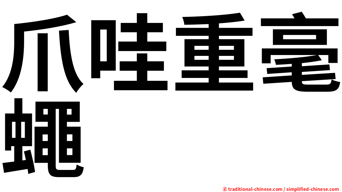 爪哇重毫蠅