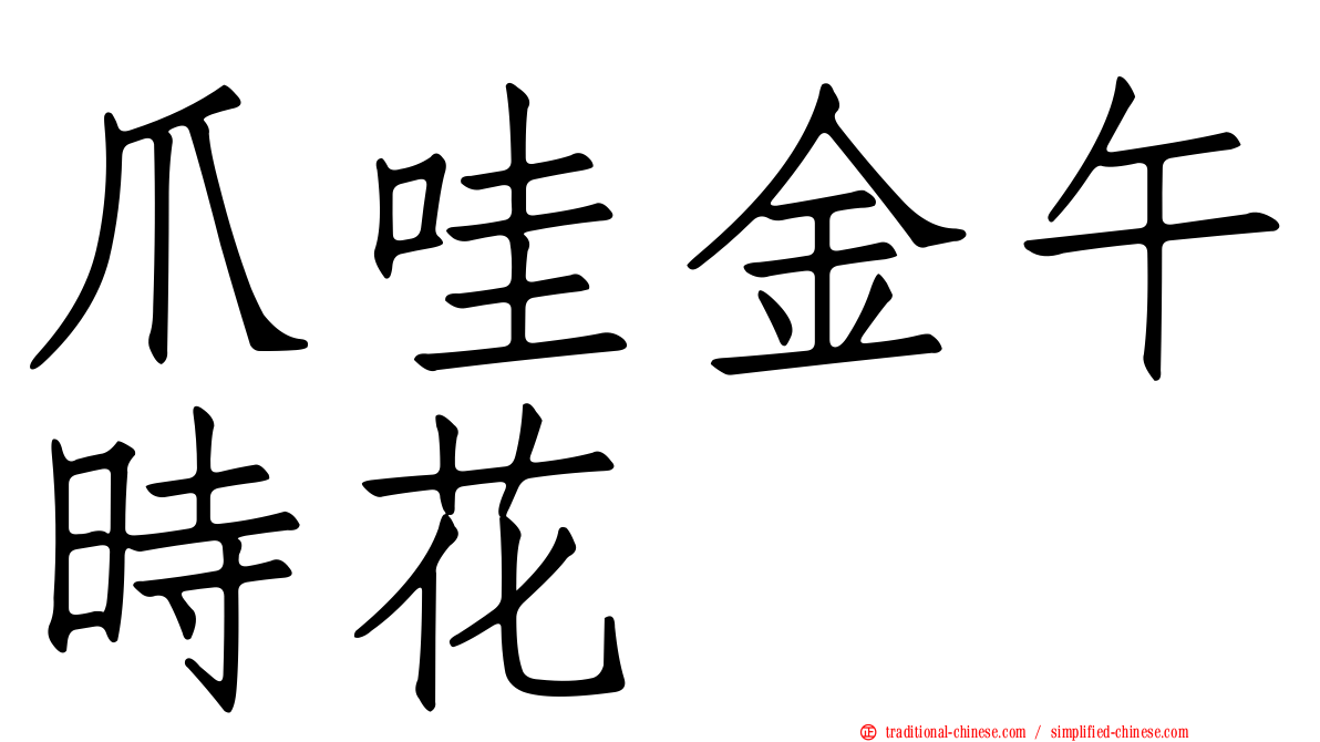 爪哇金午時花