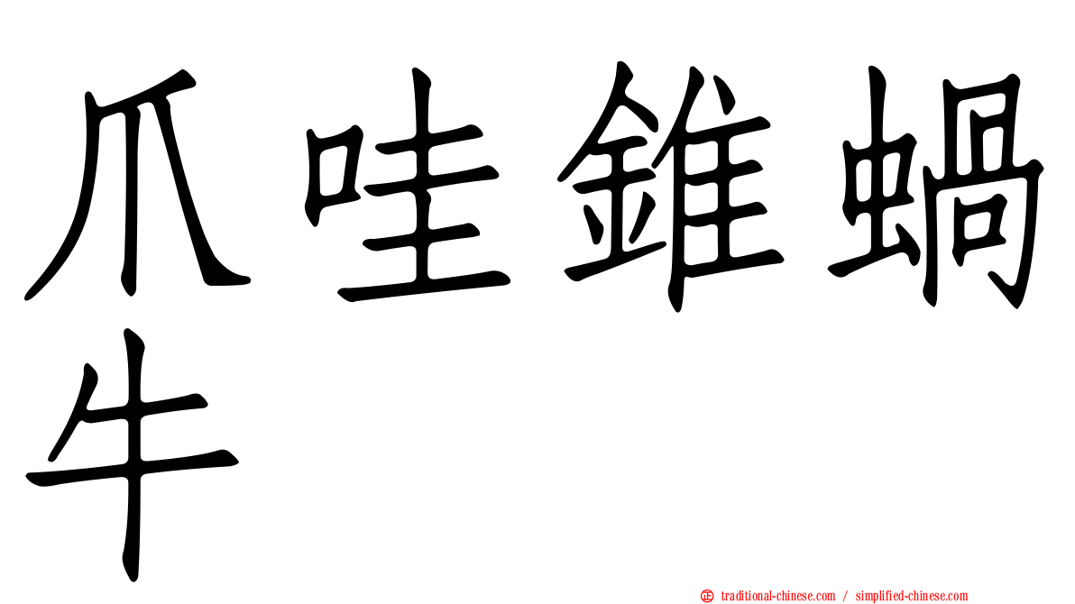 爪哇錐蝸牛