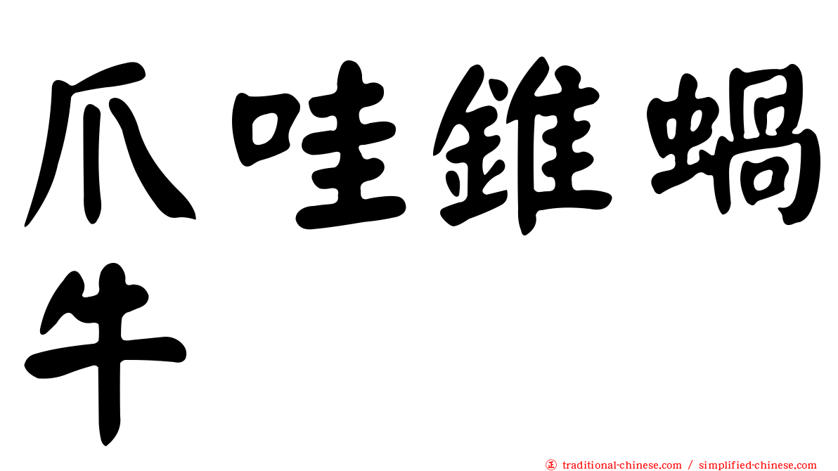 爪哇錐蝸牛