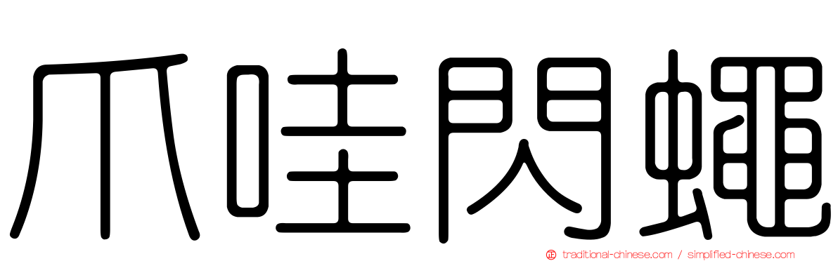 爪哇閃蠅