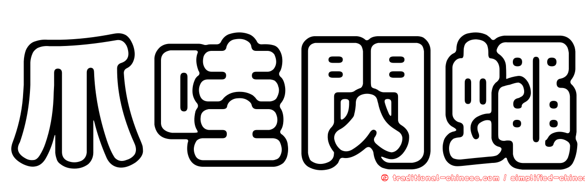 爪哇閃蠅