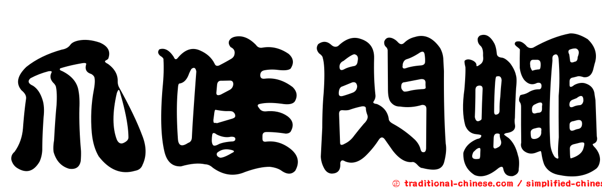爪哇閃蠅