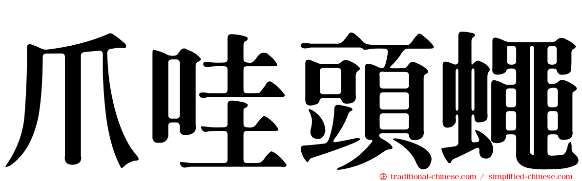 爪哇頭蠅