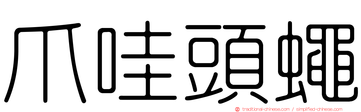 爪哇頭蠅