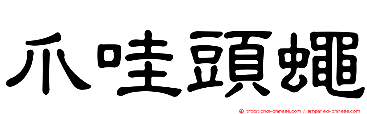 爪哇頭蠅