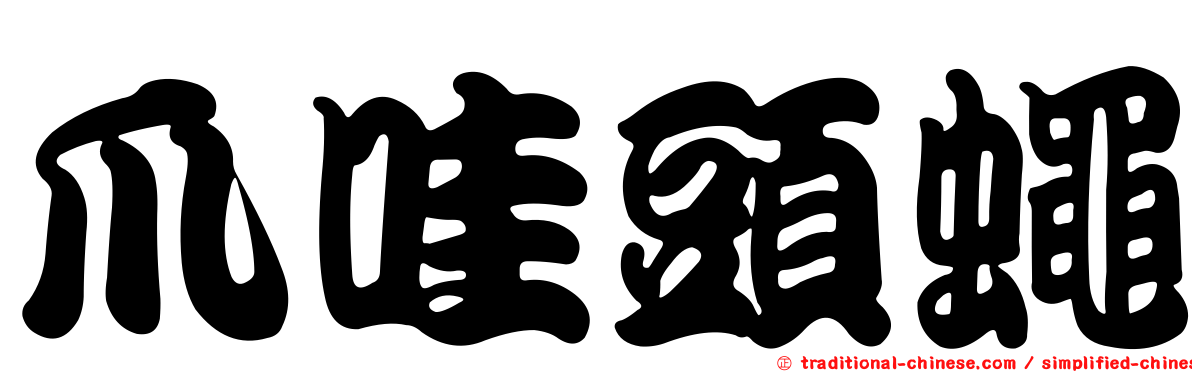 爪哇頭蠅
