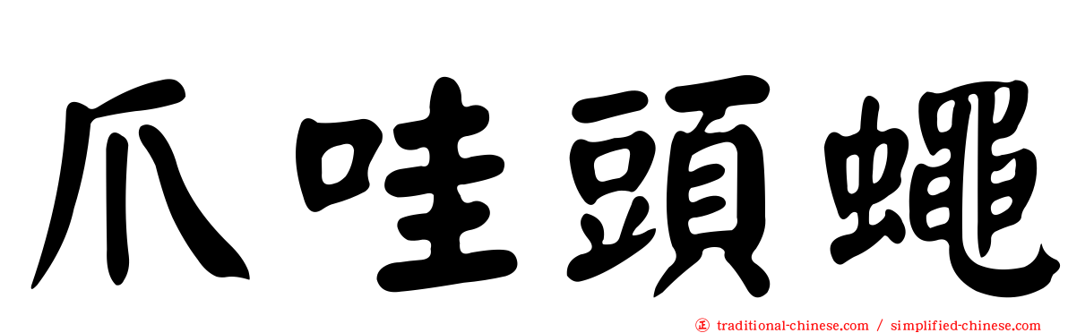 爪哇頭蠅