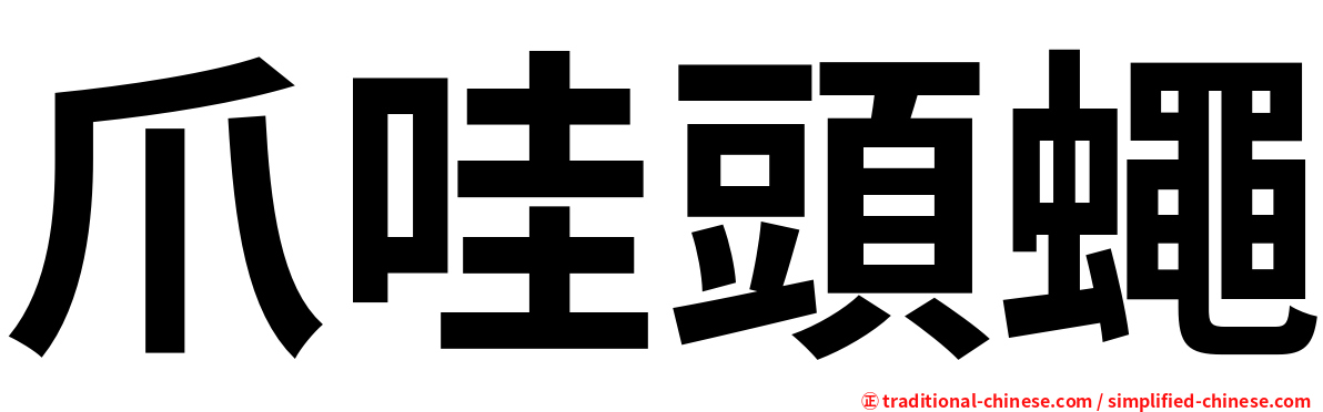 爪哇頭蠅