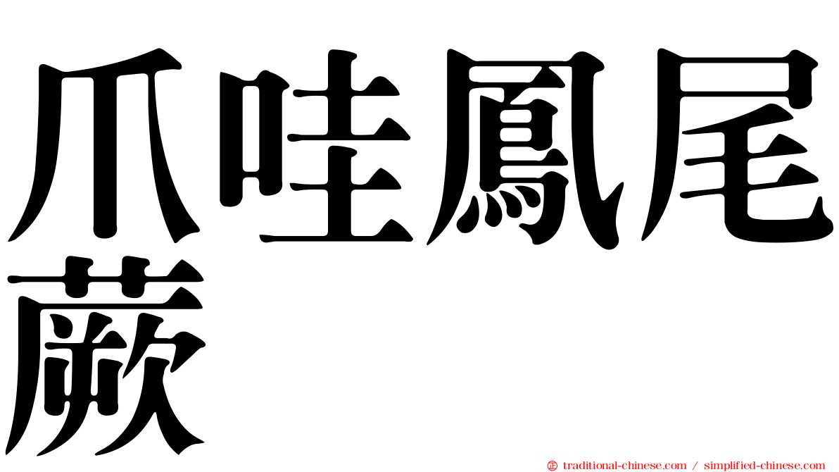 爪哇鳳尾蕨