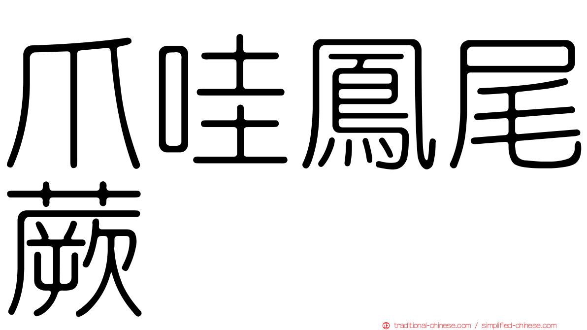 爪哇鳳尾蕨