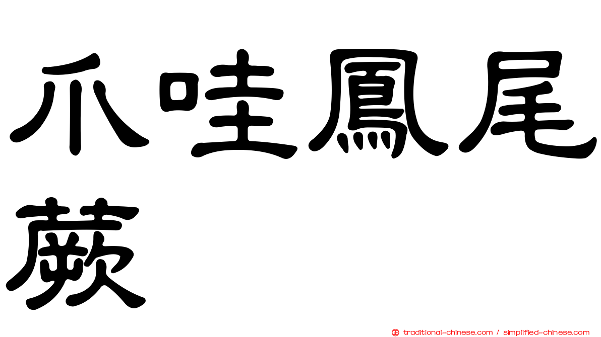 爪哇鳳尾蕨