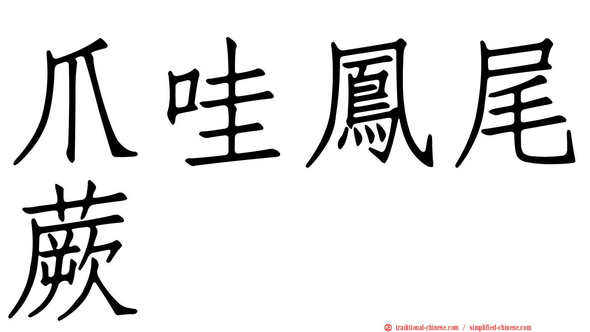 爪哇鳳尾蕨