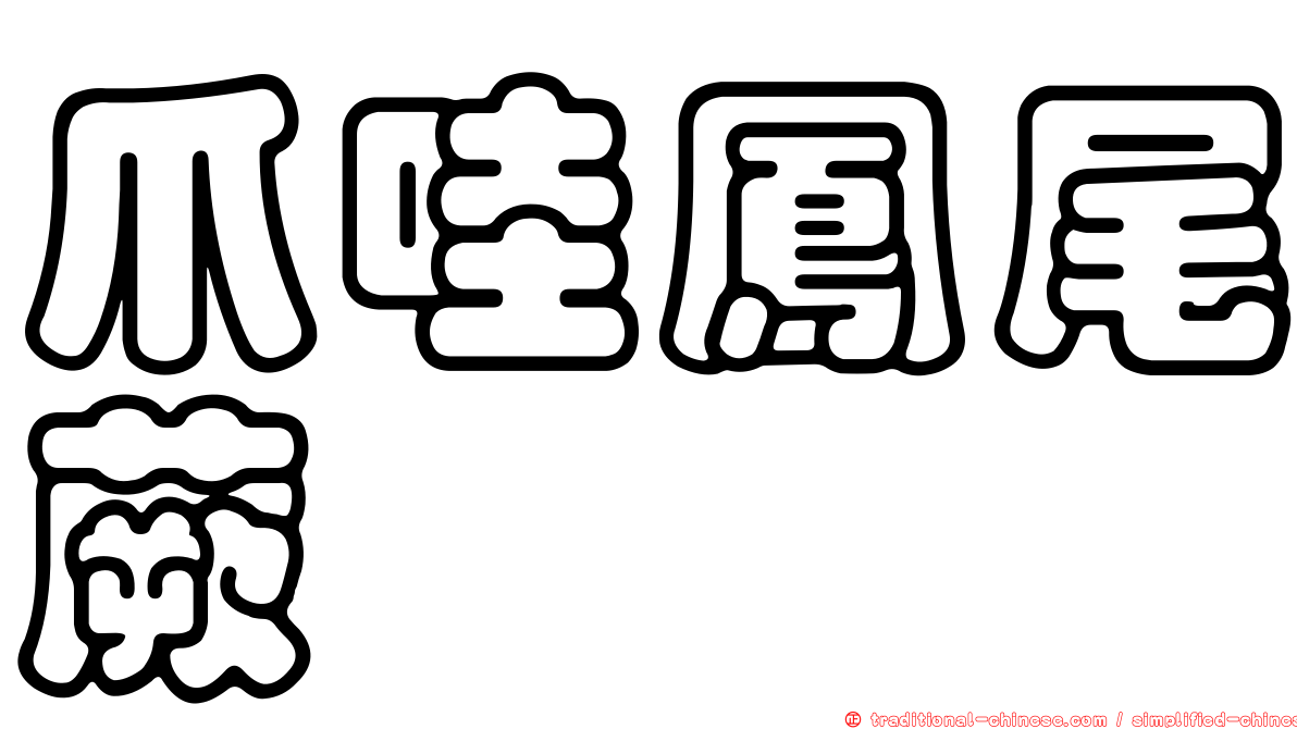 爪哇鳳尾蕨