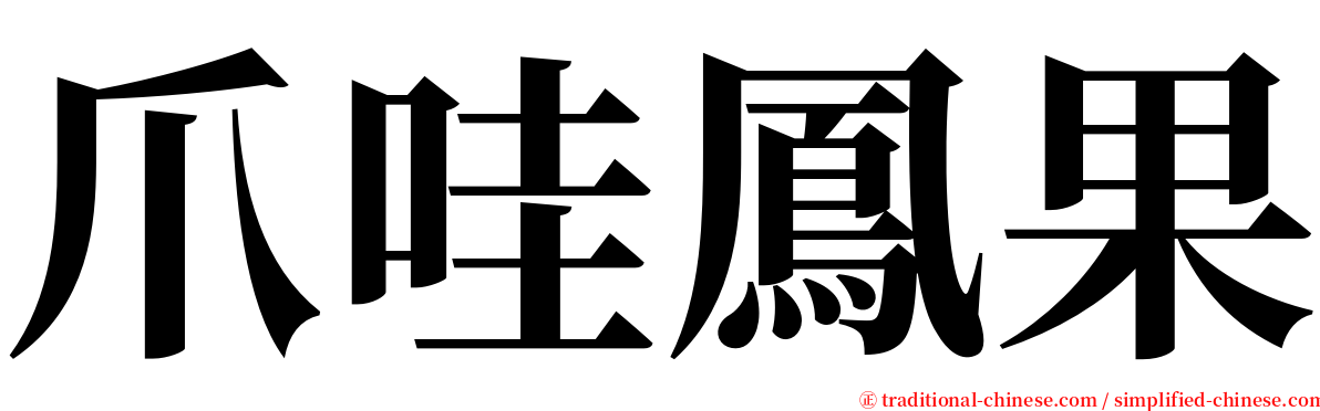 爪哇鳳果 serif font