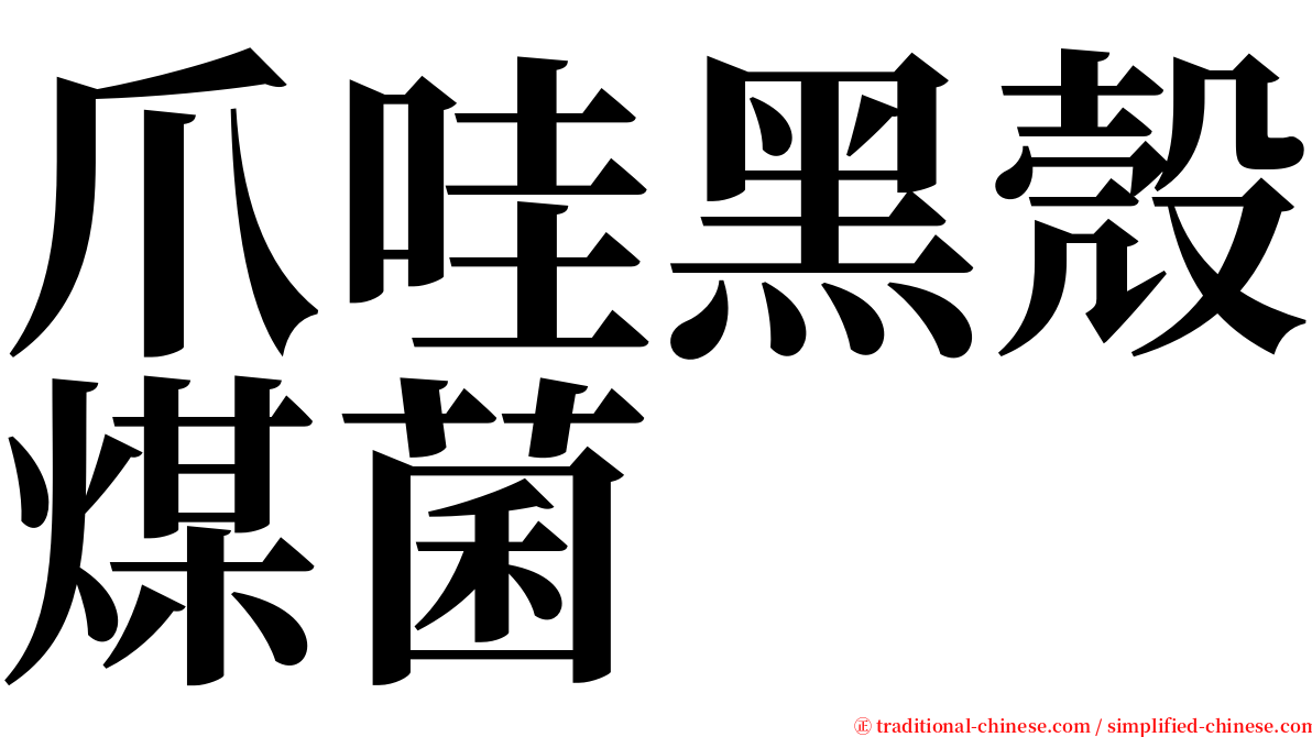 爪哇黑殼煤菌 serif font