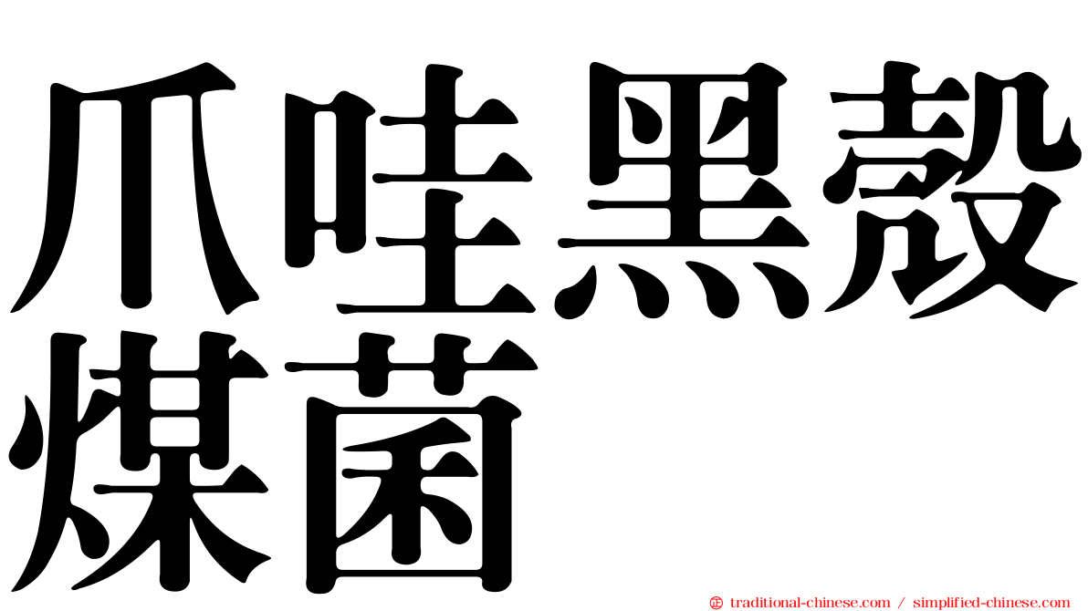 爪哇黑殼煤菌