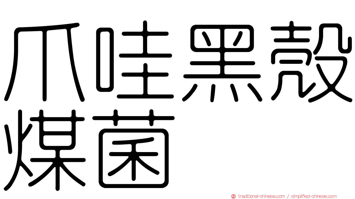 爪哇黑殼煤菌