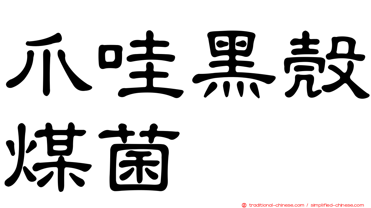 爪哇黑殼煤菌