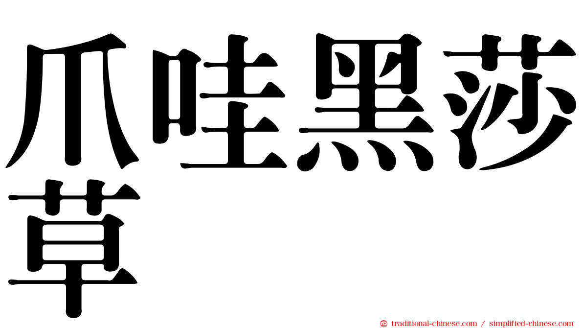 爪哇黑莎草
