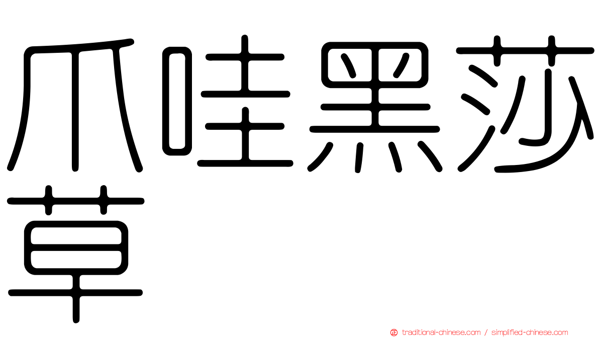 爪哇黑莎草