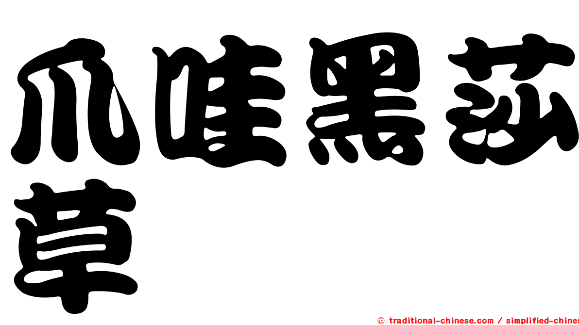 爪哇黑莎草