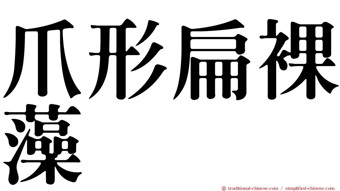 爪形扁裸藻