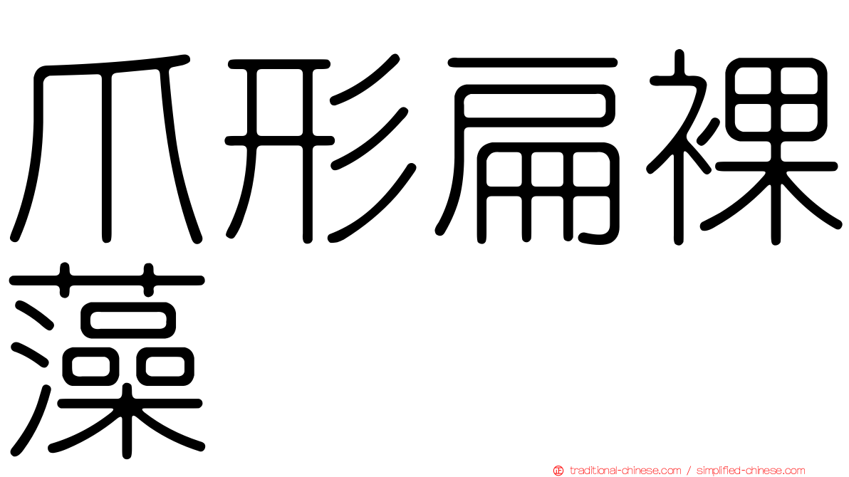 爪形扁裸藻
