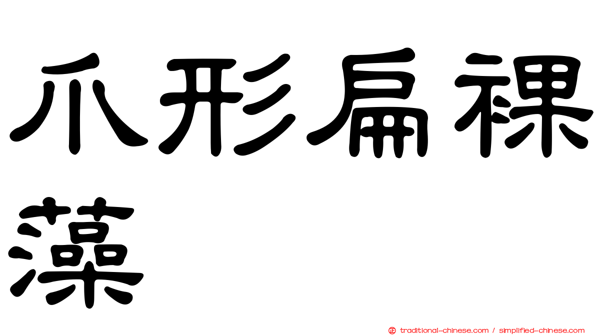 爪形扁裸藻