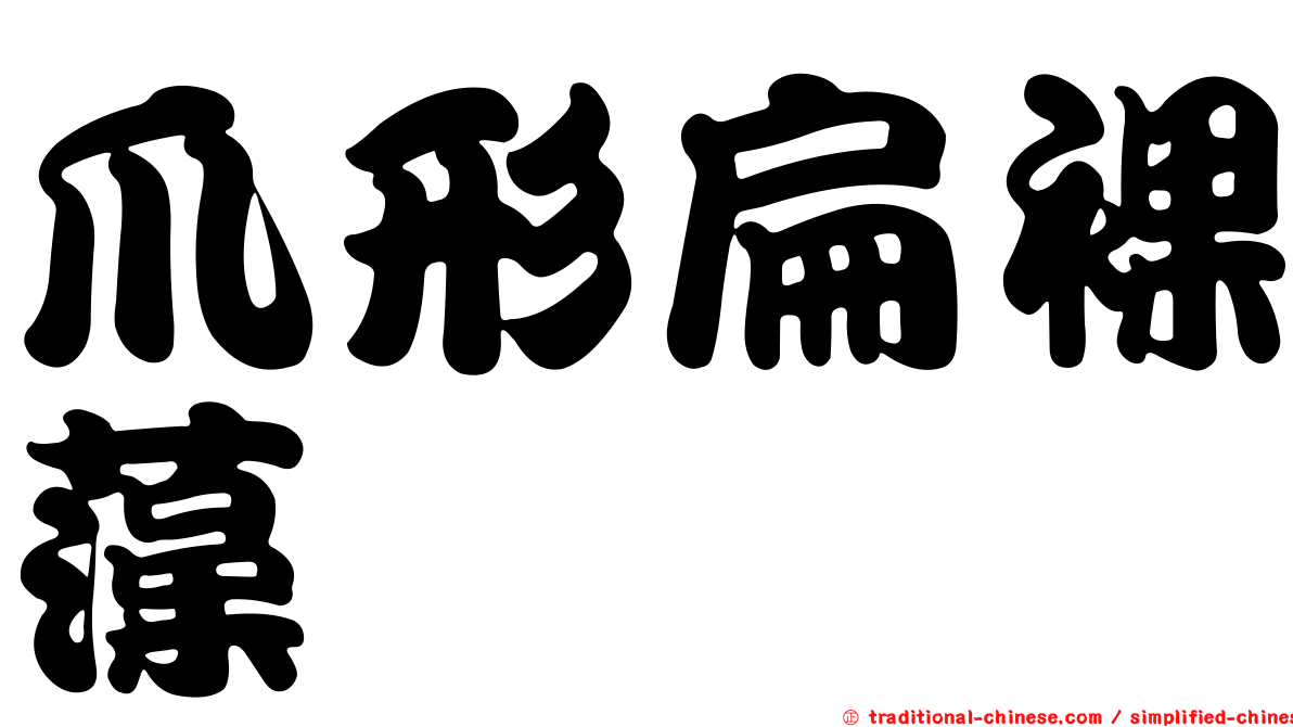 爪形扁裸藻