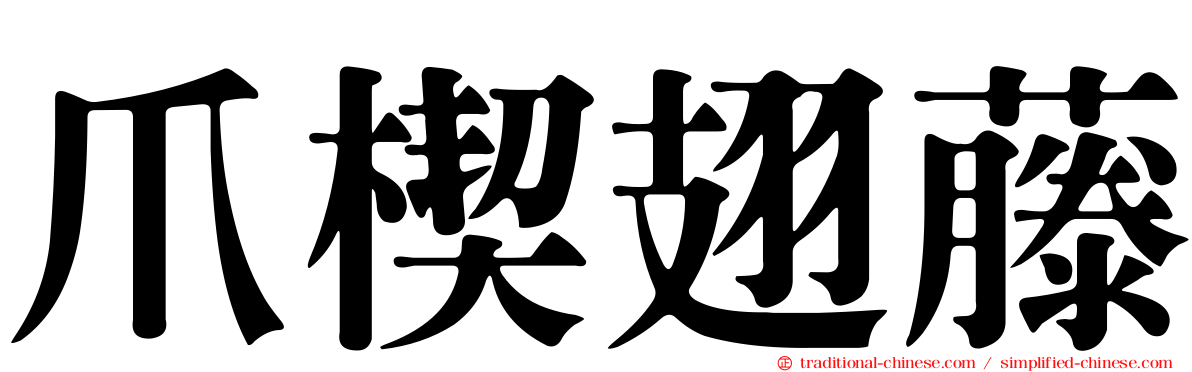 爪楔翅藤