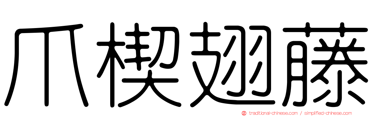 爪楔翅藤