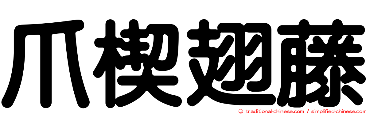 爪楔翅藤