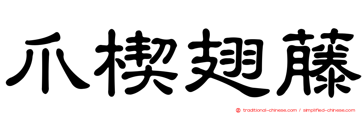 爪楔翅藤