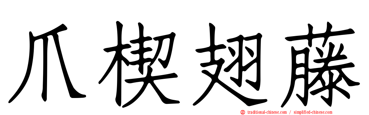 爪楔翅藤