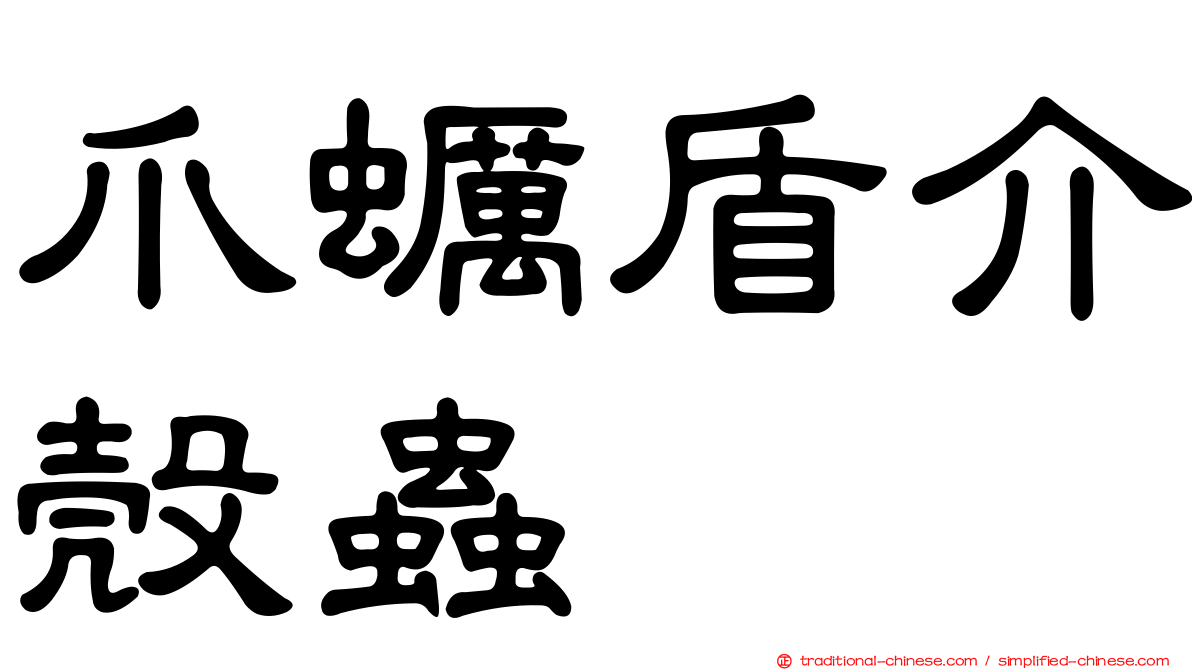 爪蠣盾介殼蟲