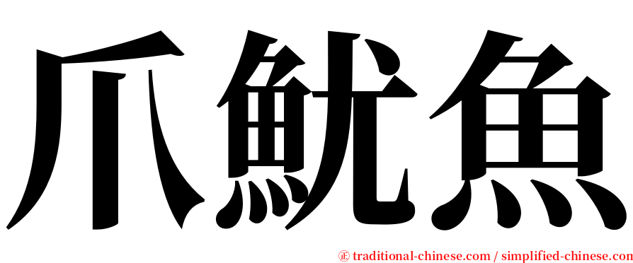 爪魷魚 serif font