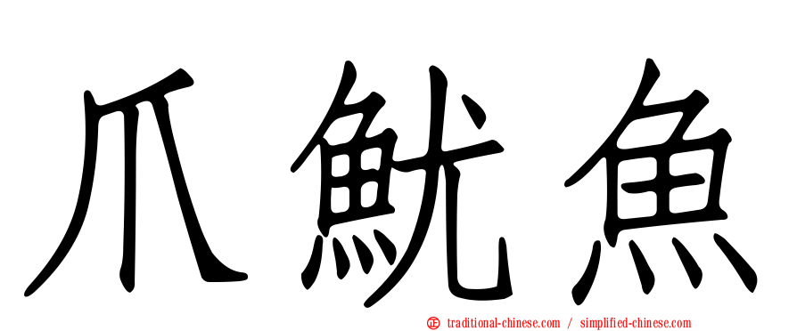 爪魷魚