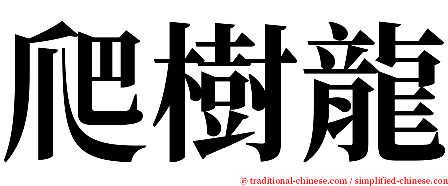 爬樹龍 serif font