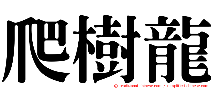 爬樹龍