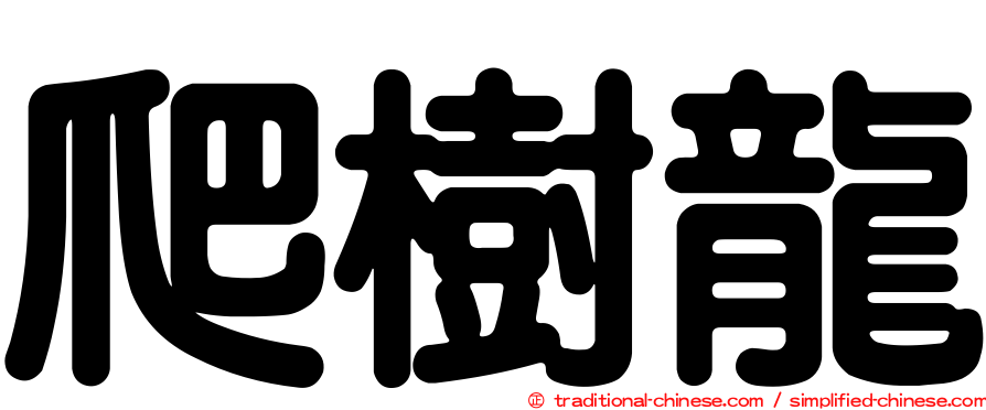 爬樹龍