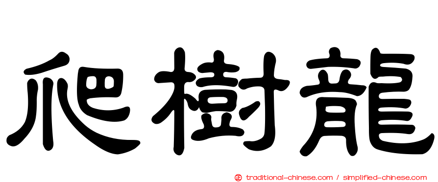 爬樹龍