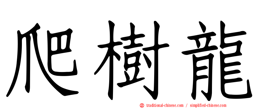 爬樹龍