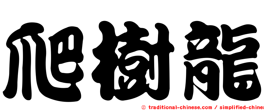 爬樹龍