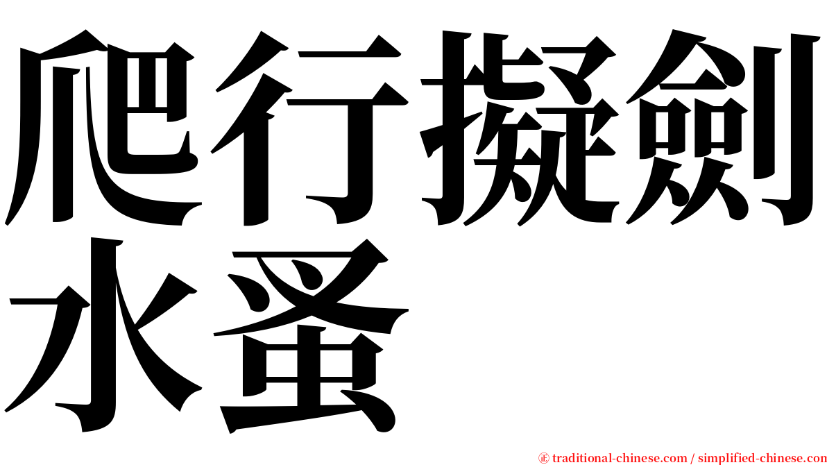 爬行擬劍水蚤 serif font