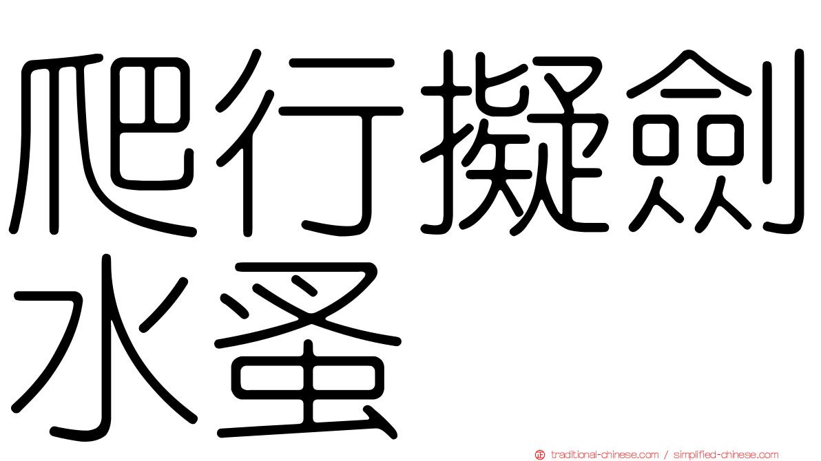 爬行擬劍水蚤