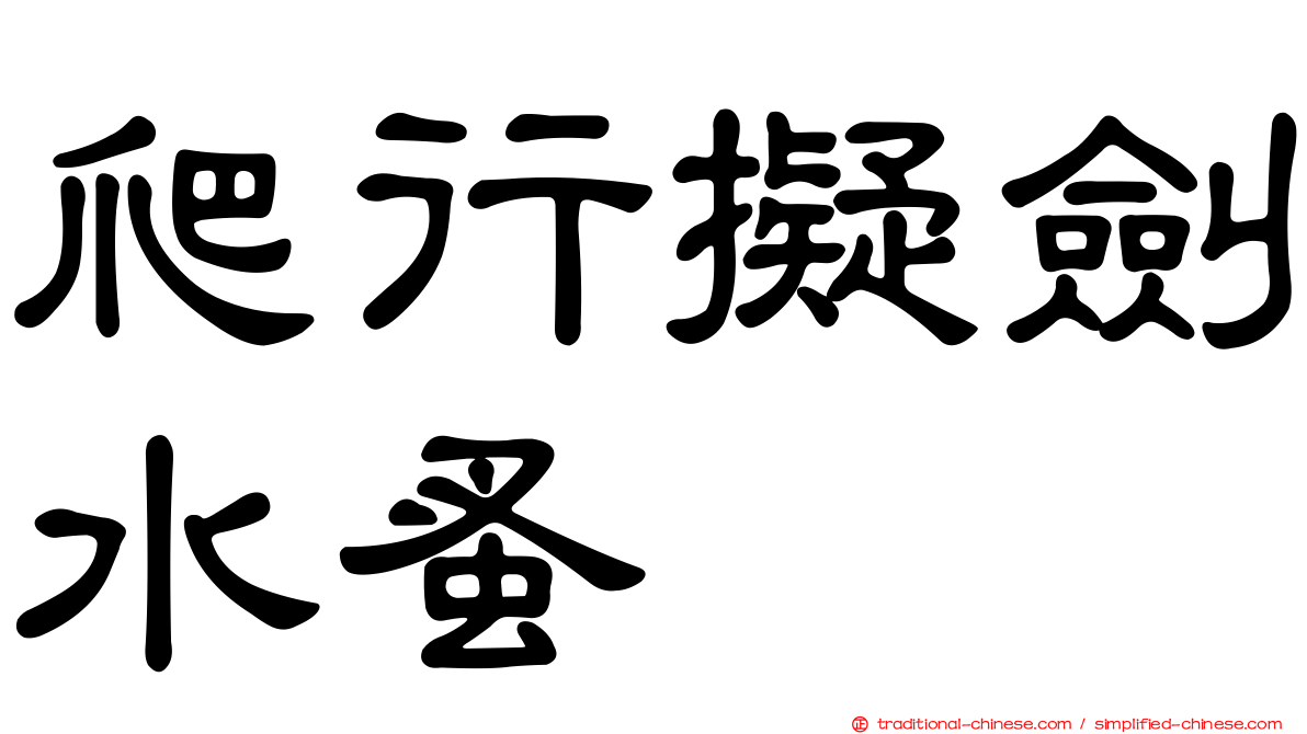 爬行擬劍水蚤