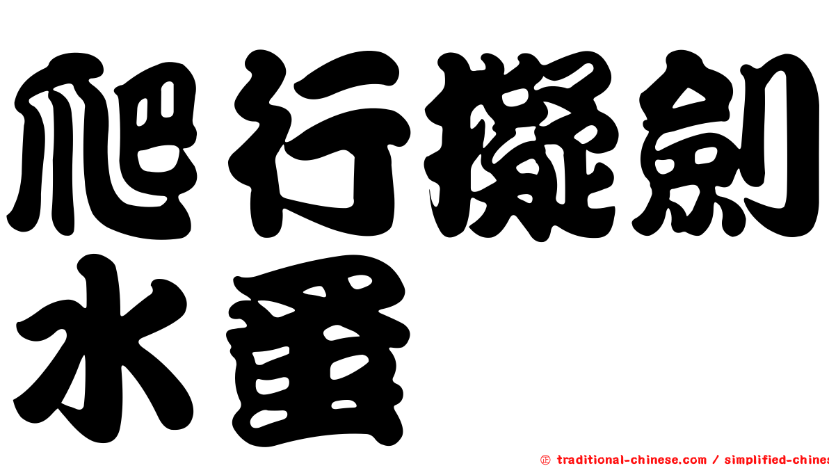 爬行擬劍水蚤
